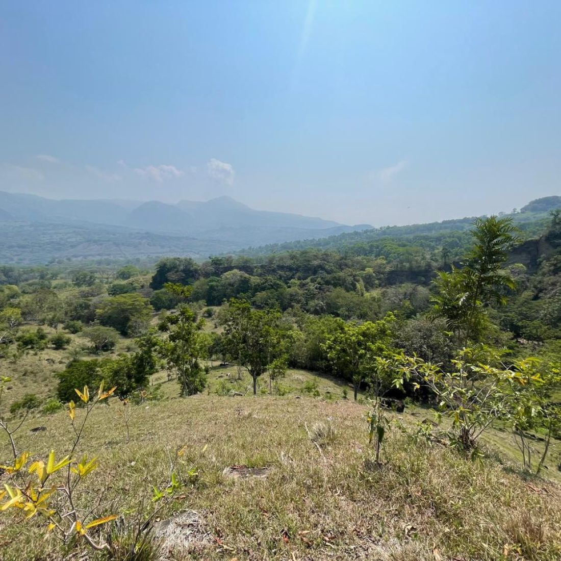 LOTE 34 PARCELACION NARANJALES (25)